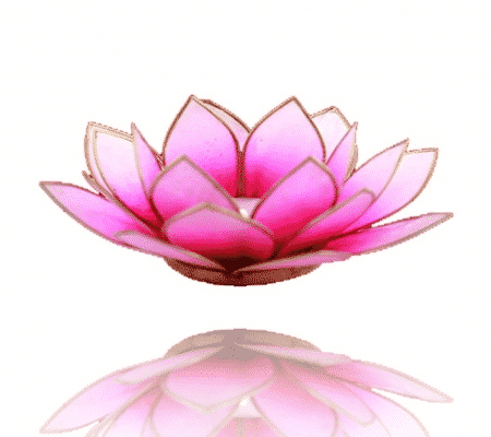 Lotus Teelichthalter rosa-wei- (Rand goldfarbig)