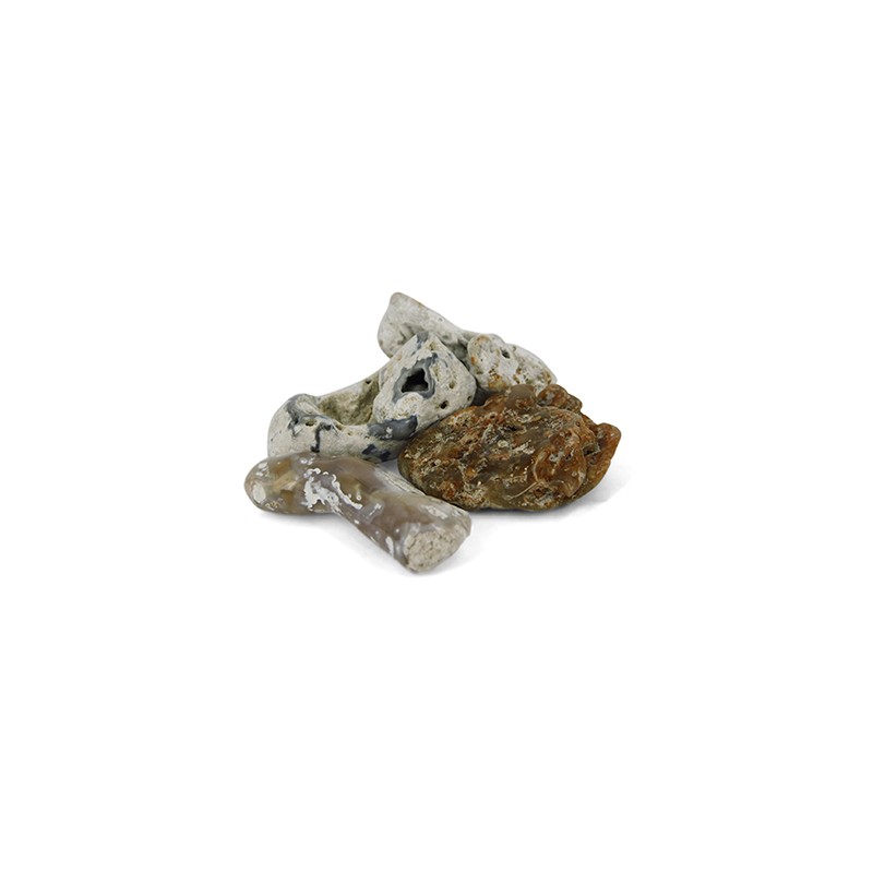 Trommelsteine Achat-Koralle (20-40 mm- 50 Gramm) unter Edelsteine & Mineralien - Edelstein Arten - Getrommelte Edelsteine